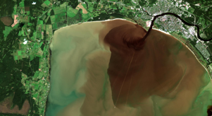 Water quality indicators in optically complex Estonian coastal waters
