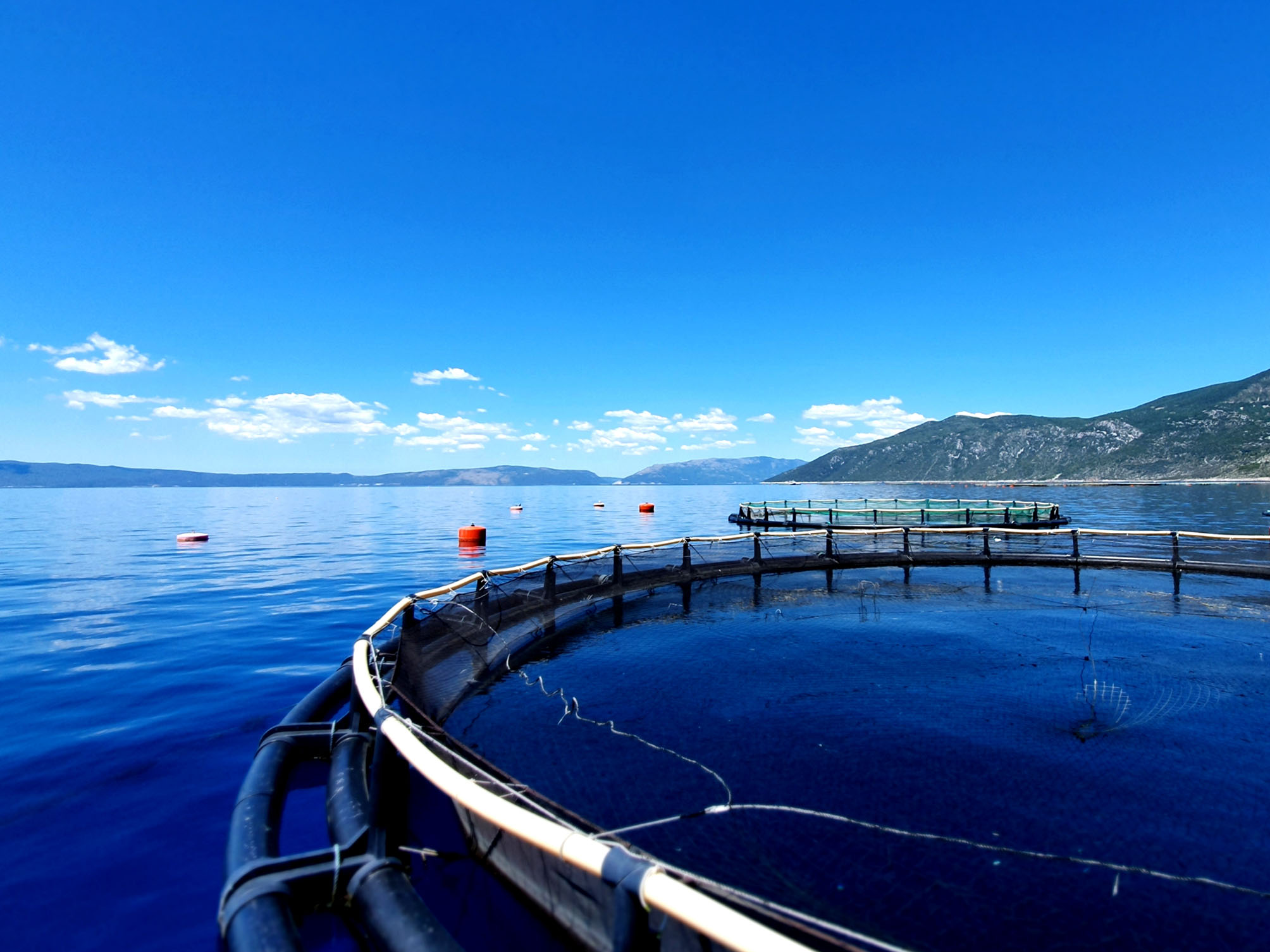 PerfeCt - Performance of Aquaculture under Climate change